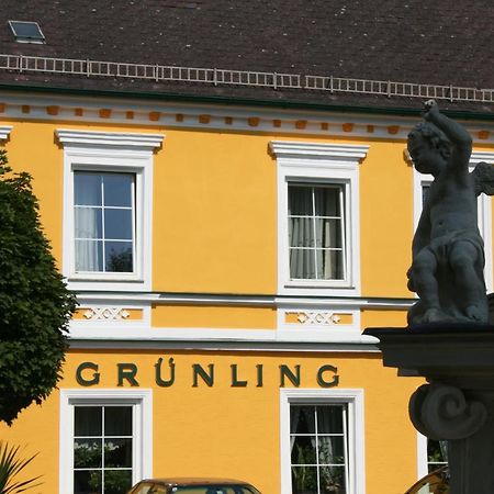 Gasthof Gruenling Wallsee Zewnętrze zdjęcie