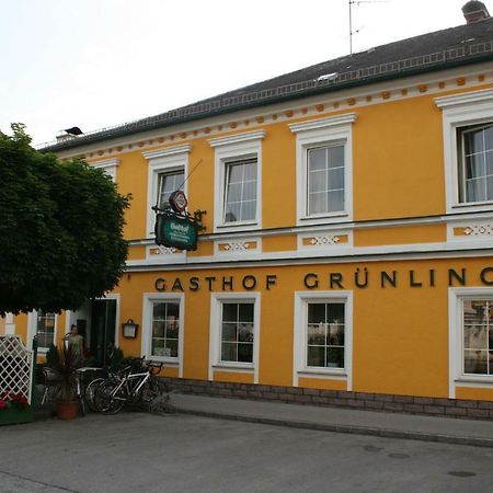 Gasthof Gruenling Wallsee Zewnętrze zdjęcie