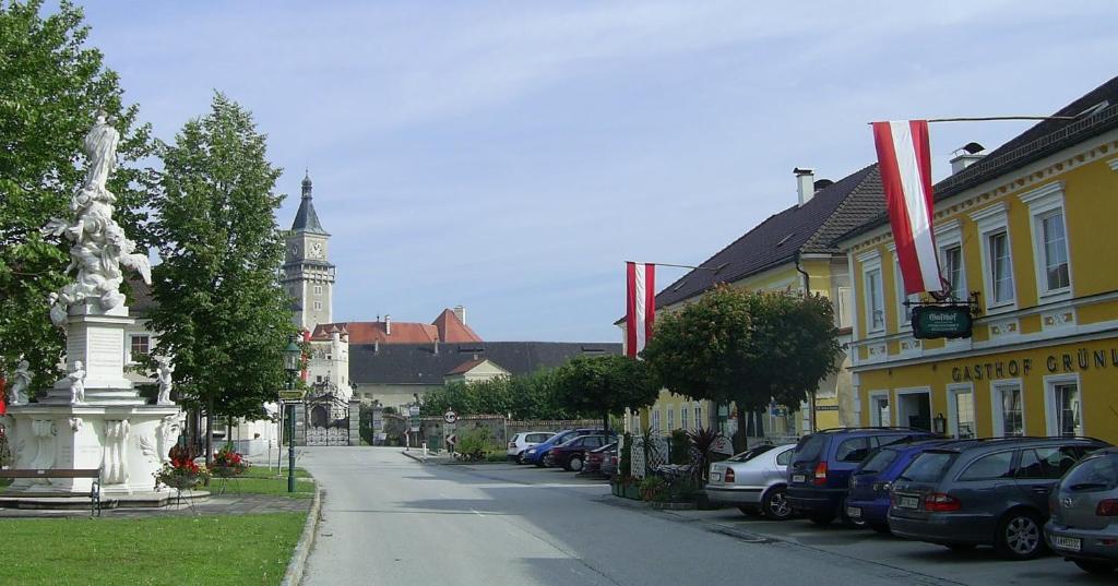 Gasthof Gruenling Wallsee Zewnętrze zdjęcie